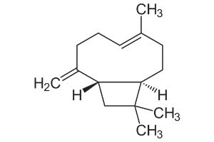 caryophyllene-molecule